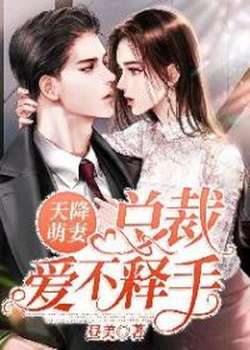 天降萌：总裁爱不释手