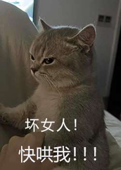 就算是坏人她也全都要（NP 百合ABO主攻）